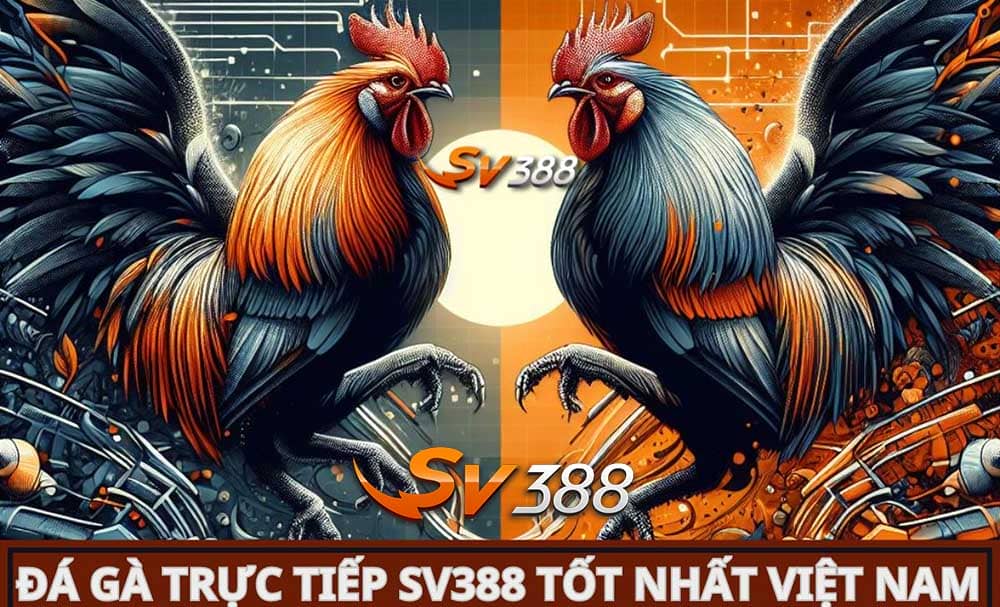 Thông tin giải đáp: SV388 có uy tín không? Có nên chọn? 1 Gioi-thieu-ve-nha-cai-SV388