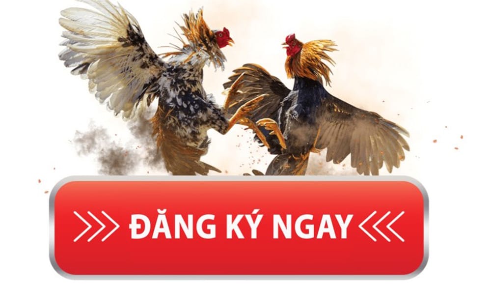 SV388 Đăng Ký Thành Viên Cực Dễ, Nhận Thưởng Tân Thủ 5 Nha-cai-sv388-cam-ket-bao-mat-thong-tin