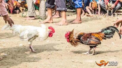 Da-ga-online-an-6-la-gi