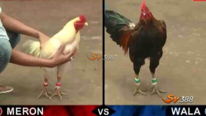 Da-ga-truc-tiep-c1-la-gi-xem-het-de-hieu