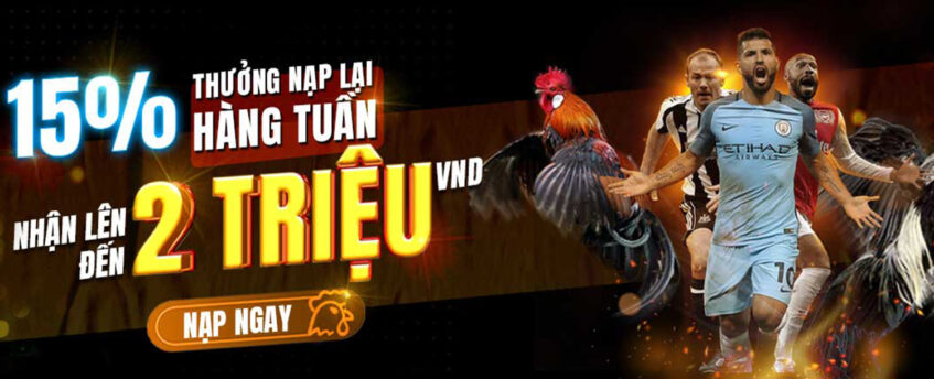 SV388 - Trang Chủ SV388 Đá Gà Online Uy Tín Hàng Đầu 22 banner-sv388-4