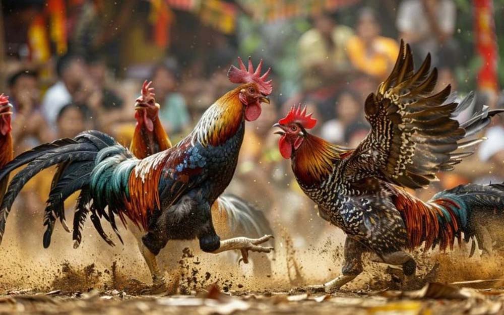 sv388-co-giay-phep-gi-ai-la-don-vi-cap-phep-va-giam-sat-hoat-dong