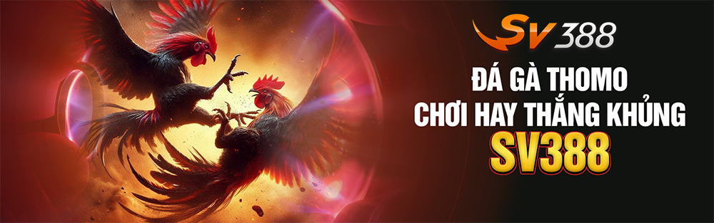sv388-co-hop-phap-khong